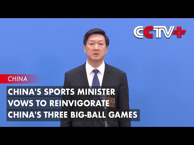 仅使球队的