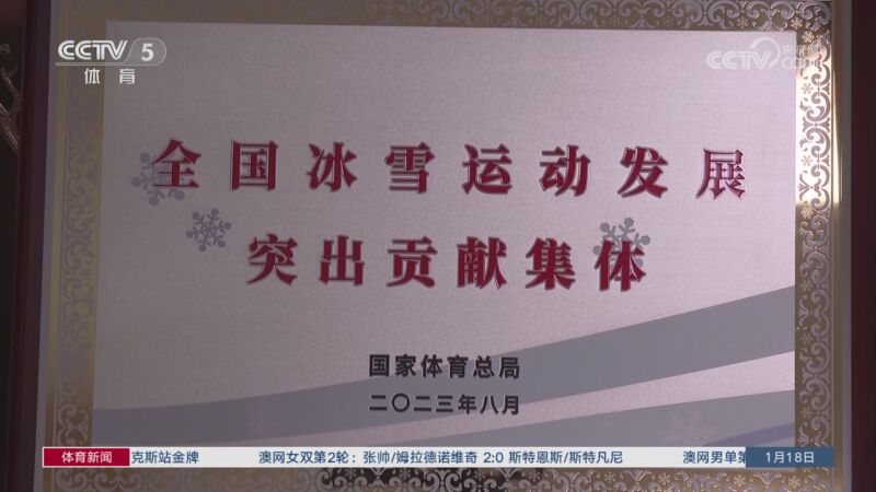 年輕邊鋒佩